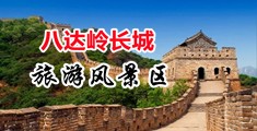 逼特网页中国北京-八达岭长城旅游风景区